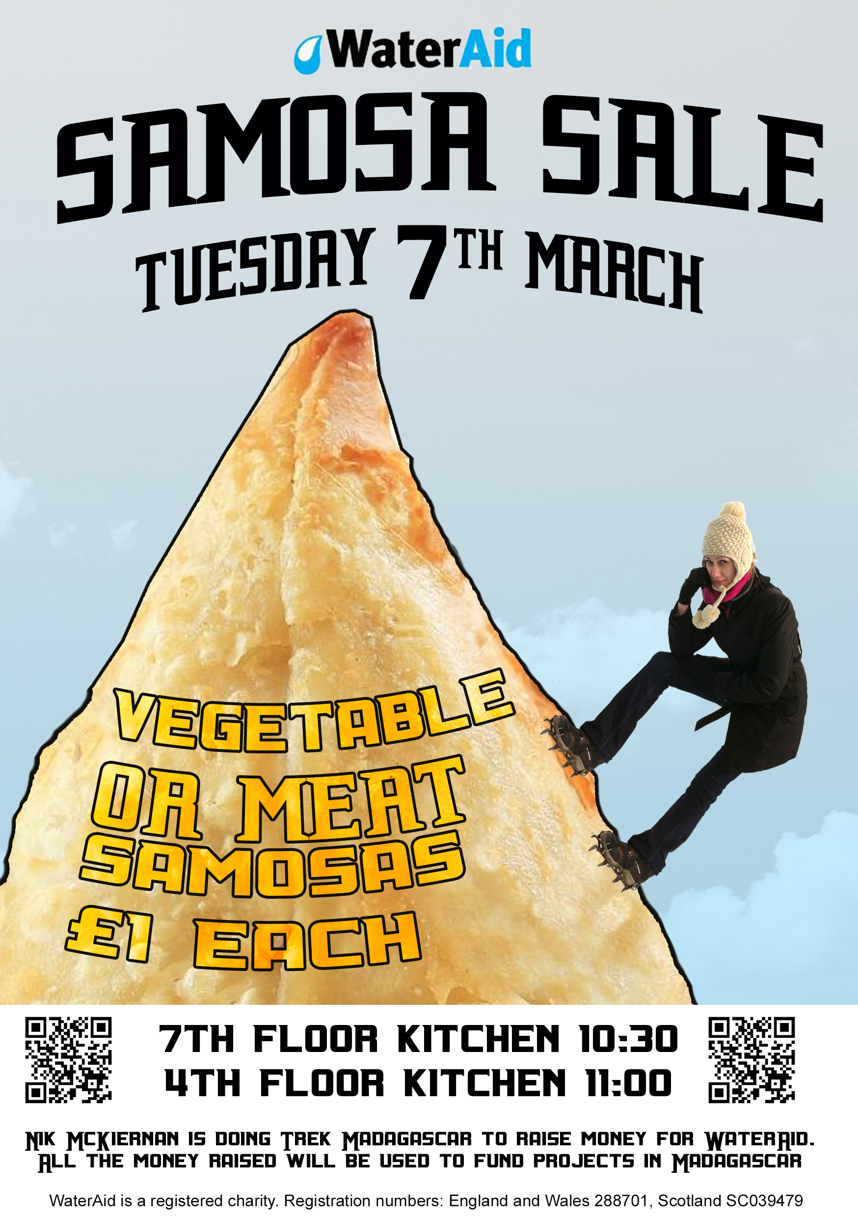 samosa sale poster