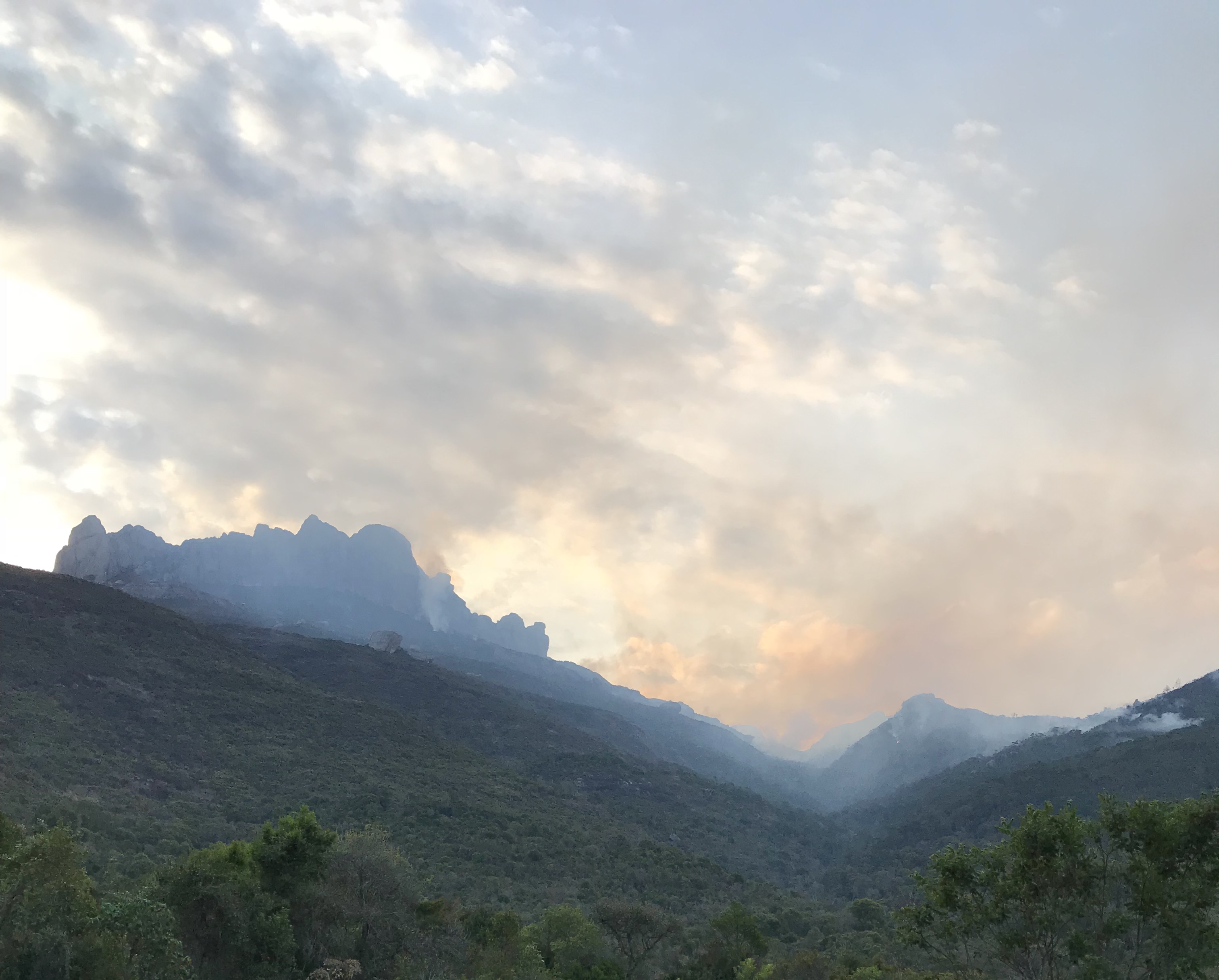 4C0159E3-4886-4E0B-AD87-426DF8E807C3