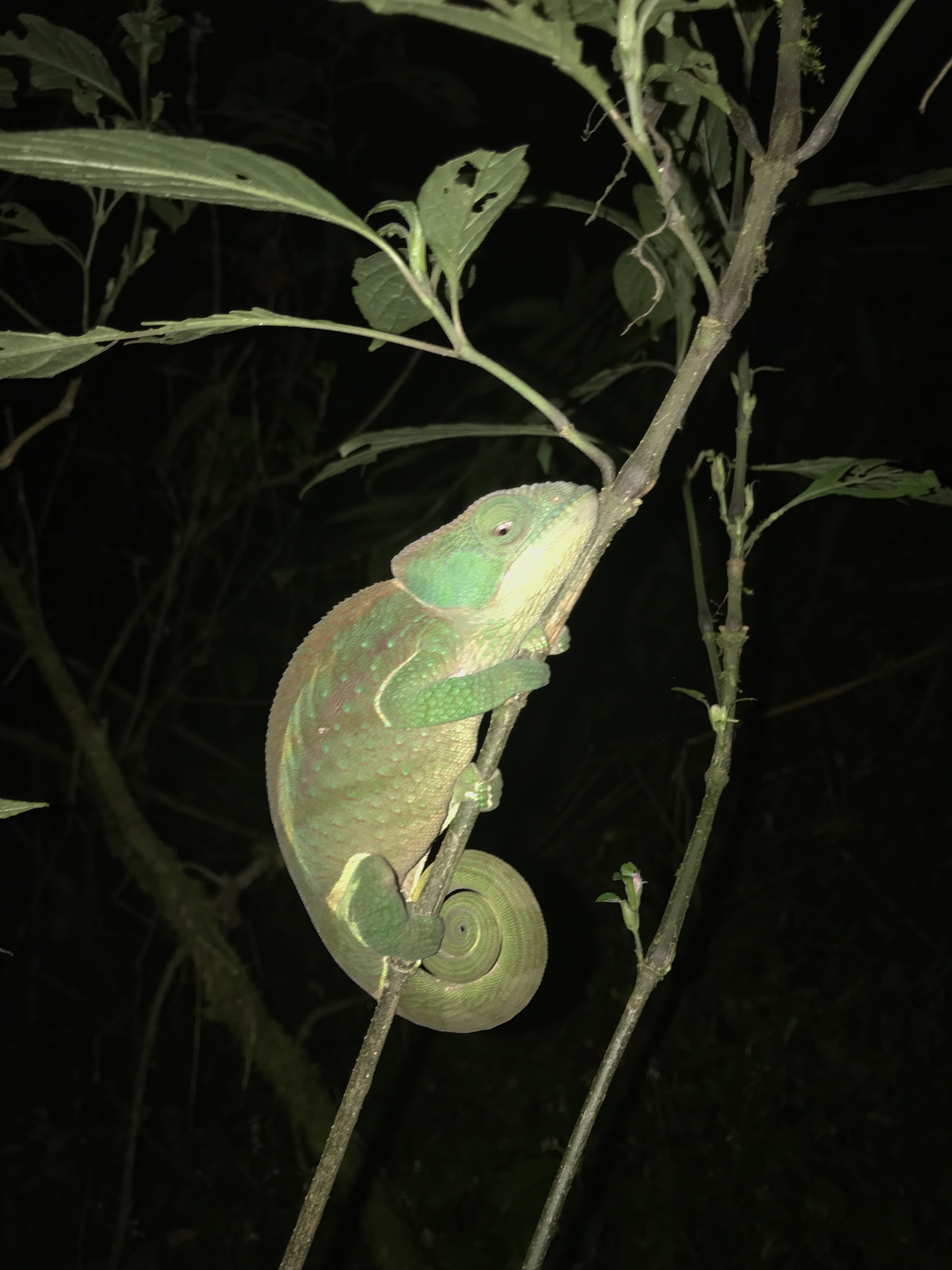 E8E0F49D-93DA-4EE8-A541-211062A1D36A