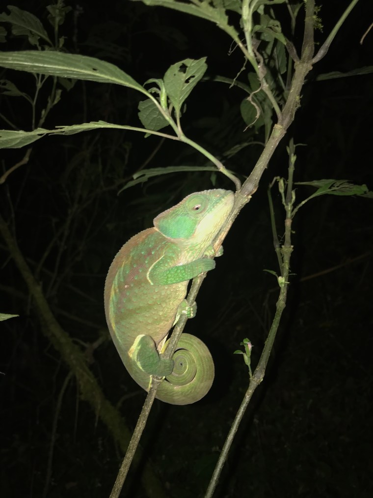 E8E0F49D-93DA-4EE8-A541-211062A1D36A