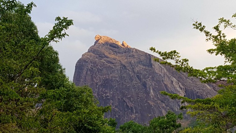 13514275-D821-429D-A9C5-220C72D430A0