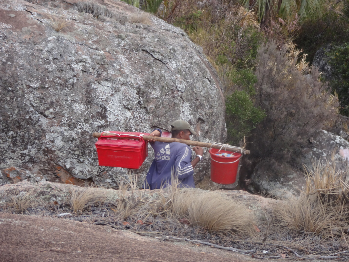 136B2A71-43D1-46E5-A4D9-9E60DB168D35