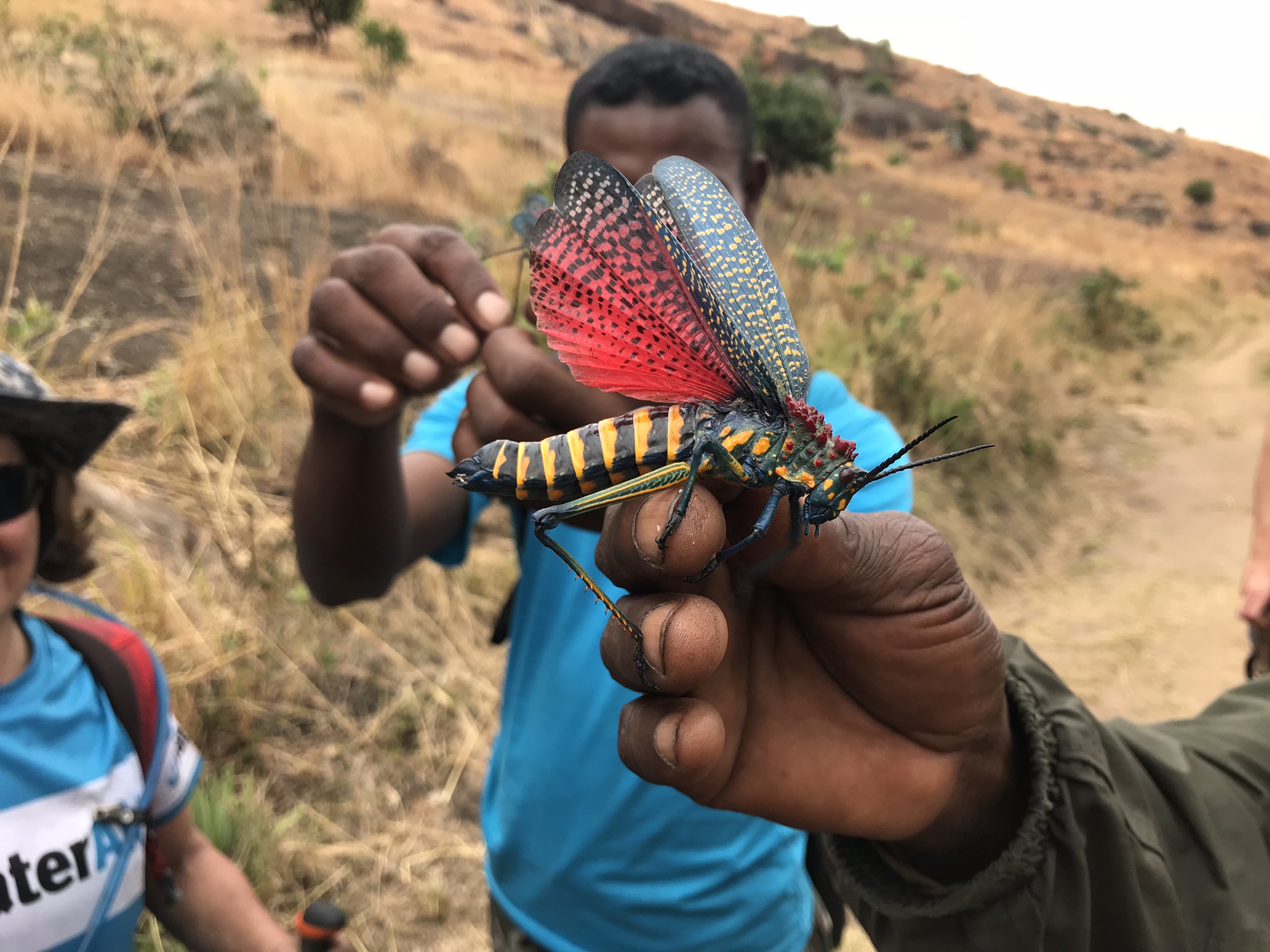 1390BAD7-EFD0-4BC6-8B34-7517D6E39062