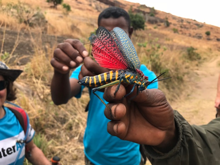 1390BAD7-EFD0-4BC6-8B34-7517D6E39062